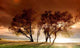 Landscape Wall Decal Design 3