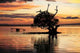 Siqijour Sunset Wall Decal