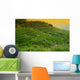 Rice Field Wall Decal