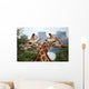 Giraffe Crossing Wall Mural