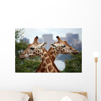 Giraffe Crossing Wall Mural shown on a wall
