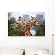 Giraffe Crossing Wall Mural