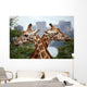 Giraffe Crossing Wall Mural