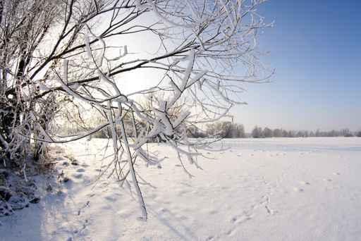 Winter Landscape Wall Decal Design 3