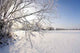 Winter Landscape Wall Decal Design 3