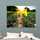 Wachstum in der Sonne Wall Mural