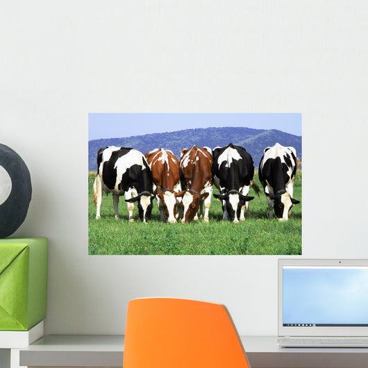 a group of cows grazing Wall Mural
