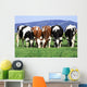 a group of cows grazing Wall Mural