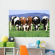 a group of cows grazing Wall Mural