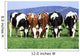 a group of cows grazing Wall Mural
