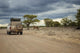 Game drive in Etosha National Park, Namibia Wall Mural