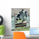Horse Rider Jumping a Barrier Wall Mural