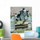 Horse Rider Jumping a Barrier Wall Mural
