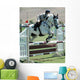 Horse Rider Jumping a Barrier Wall Mural