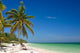 Tropical Beach Wall Decal Design 2