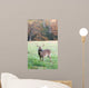 Whitetail Buck and Fall Colors Wall Mural