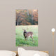 Whitetail Buck and Fall Colors Wall Mural