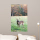 Whitetail Buck and Fall Colors Wall Mural