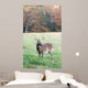 Whitetail Buck and Fall Colors Wall Mural