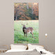 Whitetail Buck and Fall Colors Wall Mural