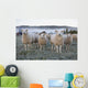 Morning Sheep Field Wall Decal