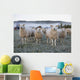 Morning Sheep Field Wall Decal