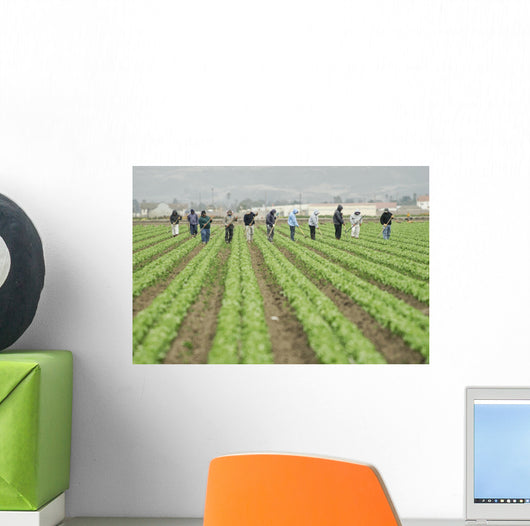 farm workers at work Wall Mural