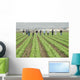 farm workers at work Wall Mural