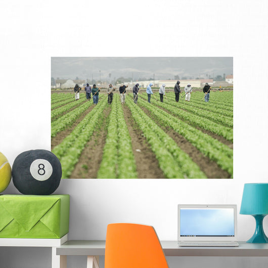 farm workers at work Wall Mural