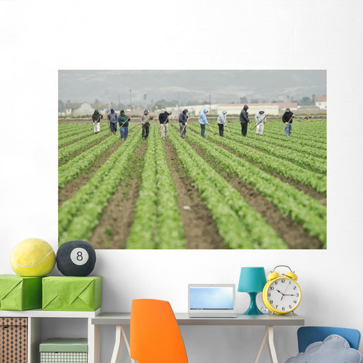 farm workers at work Wall Mural