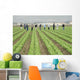 farm workers at work Wall Mural