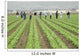 farm workers at work Wall Mural