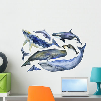 Marine Mammals Watercolor Whales Wall Decal Sticker Set shown on a wall