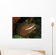 Moray Eel Wall Mural