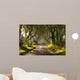 The Dark Hedges Northern Ireland Wall Mural