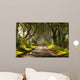 The Dark Hedges Northern Ireland Wall Mural