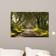 The Dark Hedges Northern Ireland Wall Mural