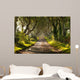 The Dark Hedges Northern Ireland Wall Mural