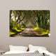 The Dark Hedges Northern Ireland Wall Mural