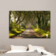 The Dark Hedges Northern Ireland Wall Mural