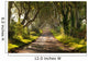 The Dark Hedges Northern Ireland Wall Mural
