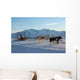 Traineau L'alpe D'huez Wall Decal