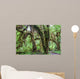 Green lush plants of temperate rainforest at Olympic National Park, Washington,  USA Wall Mural