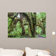 Green lush plants of temperate rainforest at Olympic National Park, Washington,  USA Wall Mural