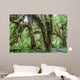 Green lush plants of temperate rainforest at Olympic National Park, Washington,  USA Wall Mural