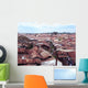 Kibera Wall Decal