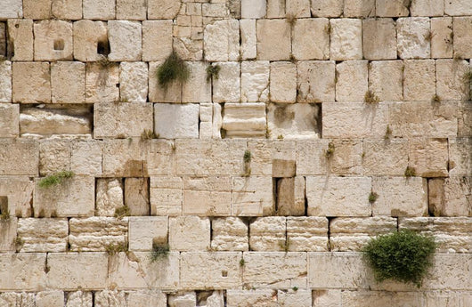 the jerusalem wailing wall - closeup Wall Mural