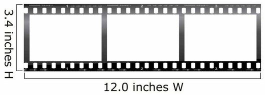 Camera Film Strip - Blank Wall Mural