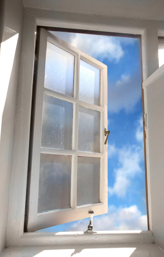 Window Wall Mural