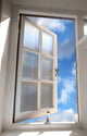 Window Wall Mural